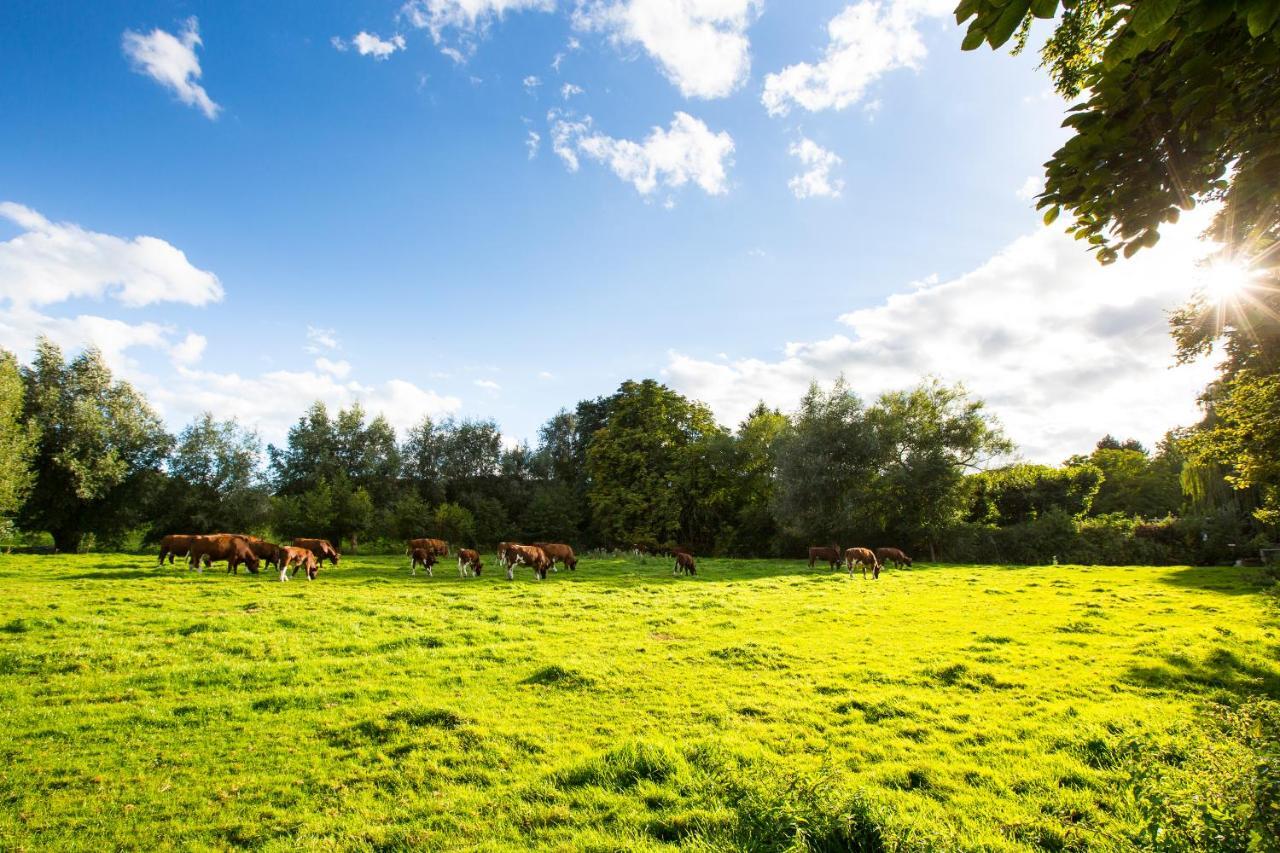 Ferienwohnung Hoeve Kroonen Schin op Geul Exterior foto