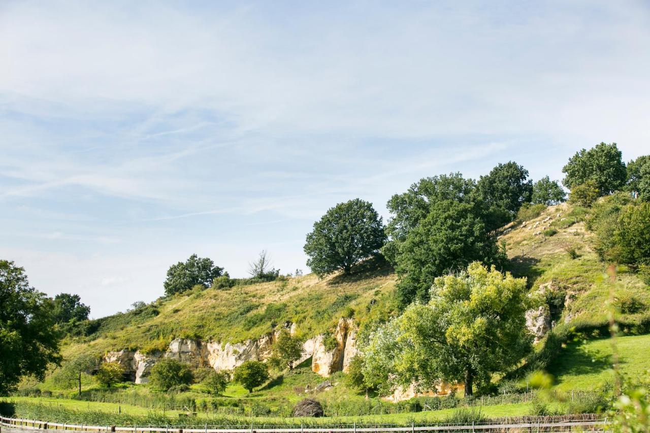 Ferienwohnung Hoeve Kroonen Schin op Geul Exterior foto